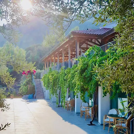 Villa Mavie-3